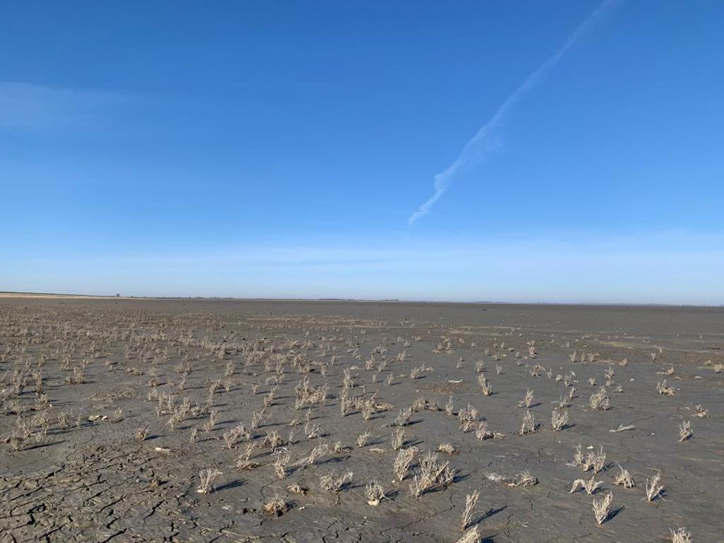 Chalet Seemowe Direkt Am Wattenmeer Aan De Waddenzee Nordsee 600 Meter Zum Badestrand, Angeln Apartment Westerland Exterior photo